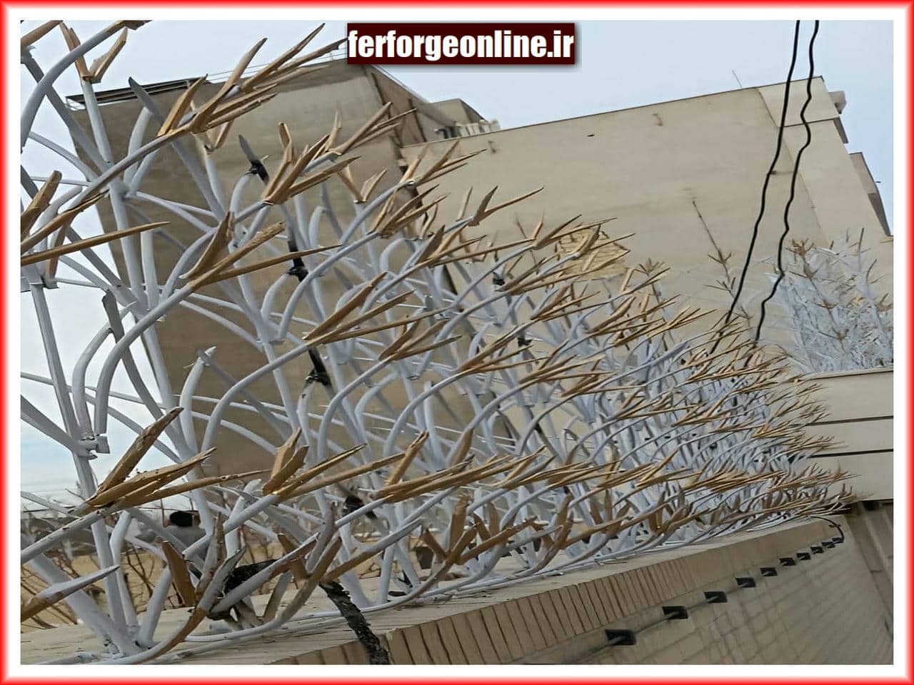 حفاظ لیلیوم روی دیوار