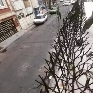 حفاظ بوته ای تراکم 67