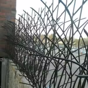 مشخصات فنی حفاظ شاخ گوزنی