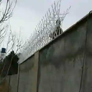 کاربرد حفاظ شاخ گوزنی