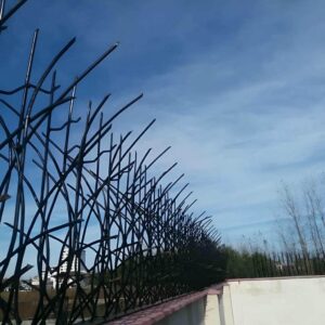 راهنمای خرید حفاظ شاخ گوزنی