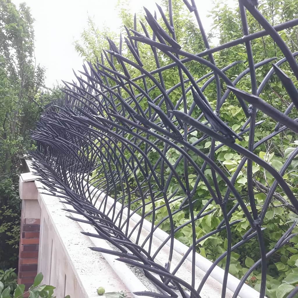 قیمت حفاظ دیوار