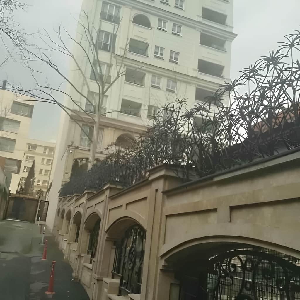 قیمت حفاظ نخل مرداب