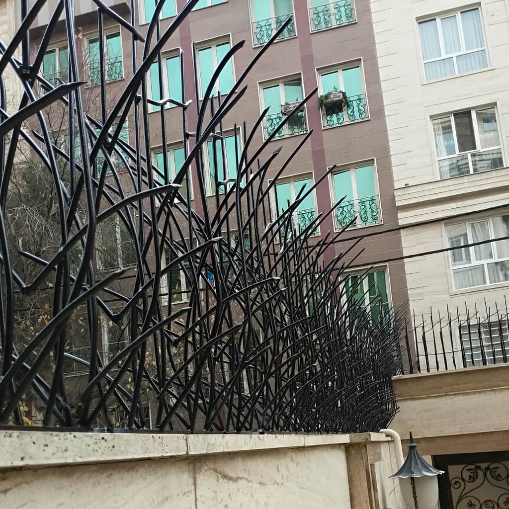 خرید حفاظ نیزار