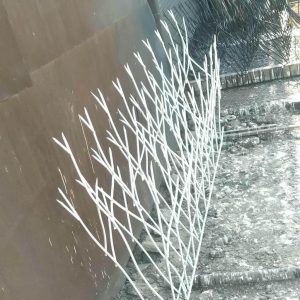 حفاظ شاخ گوزنی در محمودآباد