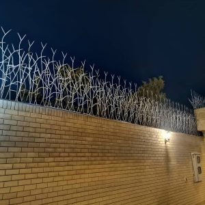 حفاظ شاخ گوزنی در ایلام