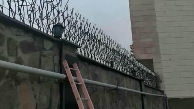 حفاظ شاخ گوزنی در بیرجند