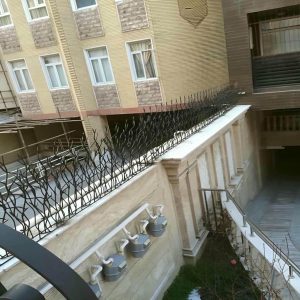 حفاظ شاخ گوزنی در چابهار