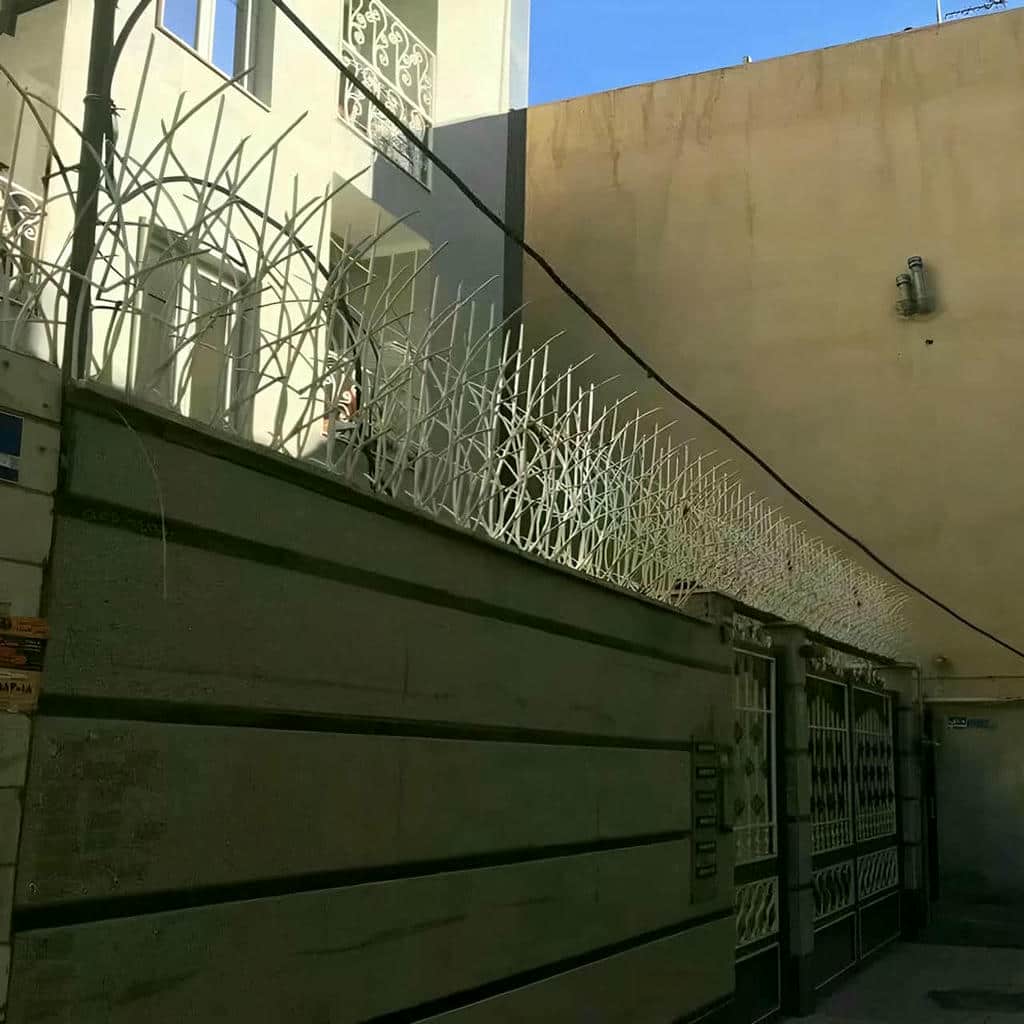 قیمت حفاظ شاخ گوزنی دیوار خانه در کردان