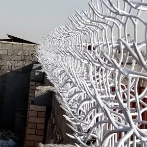 حفاظ شاخ گوزنی در آبسرد