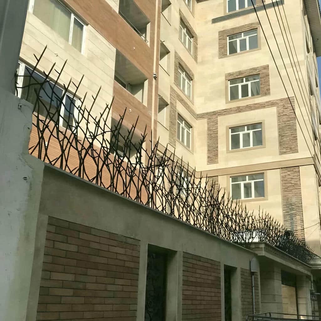 حفاظ شاخ گوزنی در هشتگرد