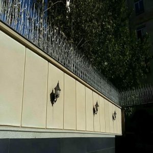 حفاظ شاخ گوزنی در اصفهان