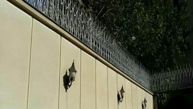 حفاظ شاخ گوزنی در اصفهان