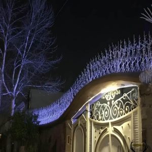 حفاظ شاخ گوزنی در شهرکرد