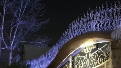 حفاظ شاخ گوزنی در شهرکرد