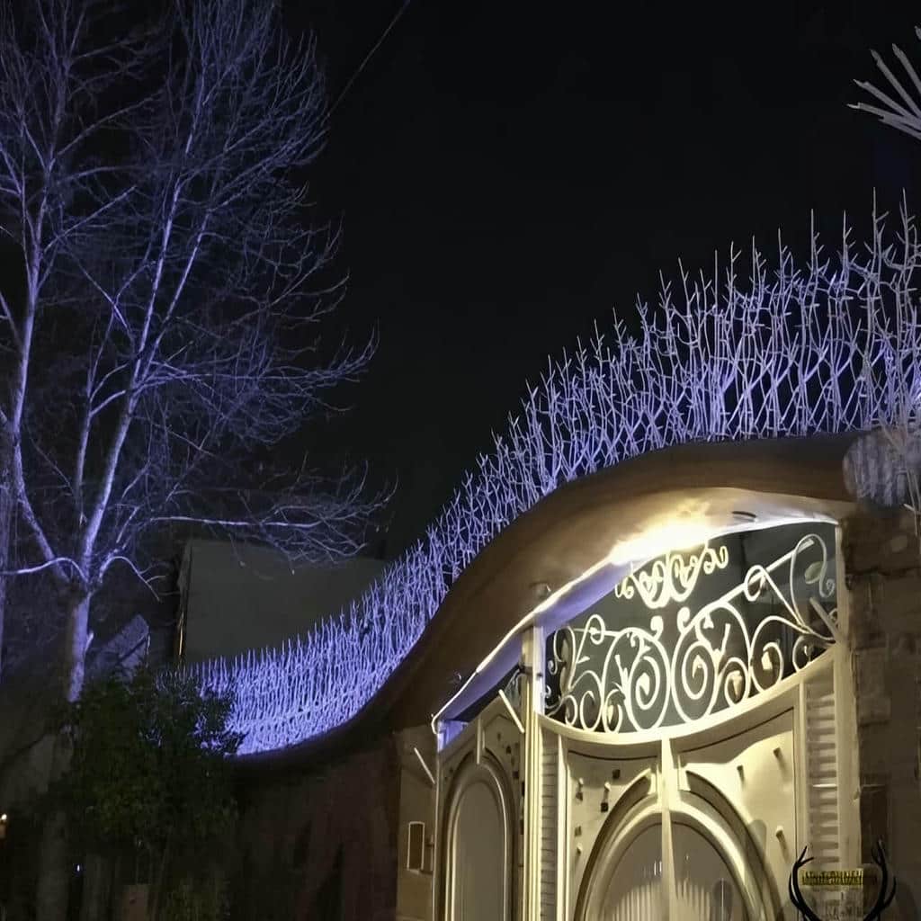 حفاظ شاخ گوزنی در شهرکرد