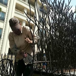 حفاظ شاخ گوزنی در اندیشه