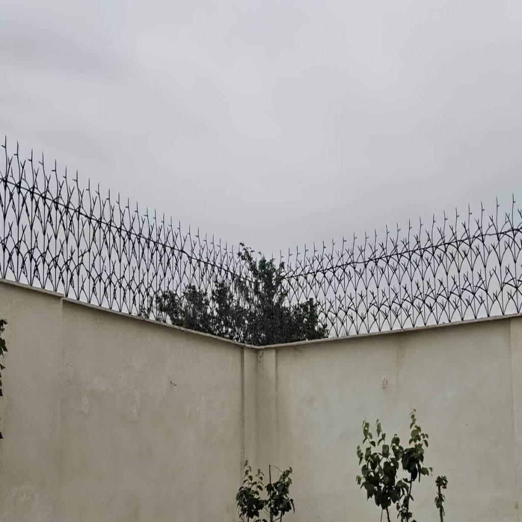 حفاظ شاخ گوزنی در تهران