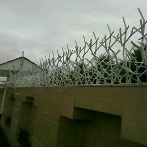 حفاظ شاخ گوزنی در استان خوزستان