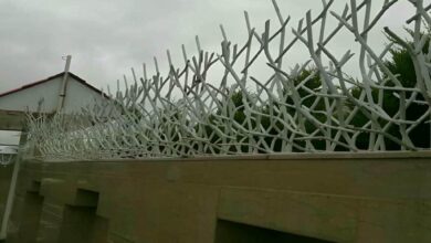 حفاظ شاخ گوزنی در استان خوزستان