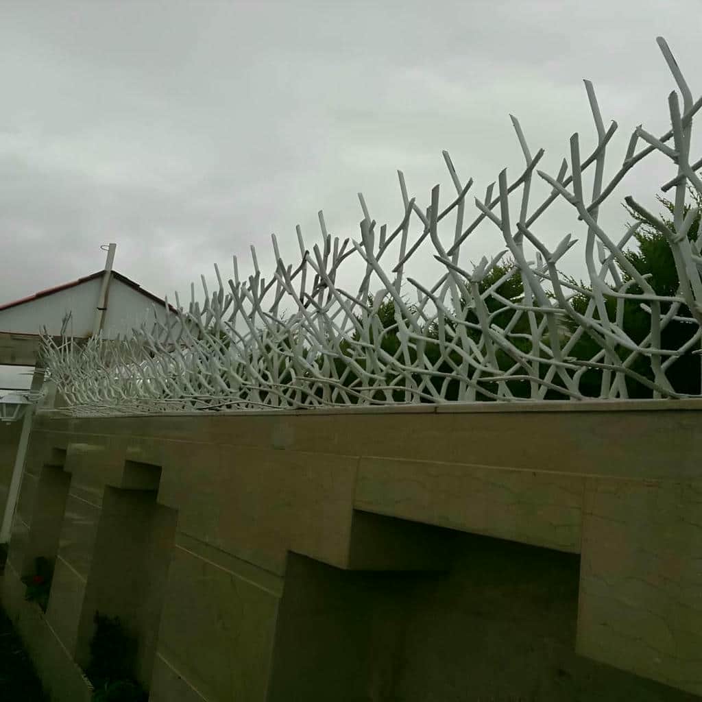 حفاظ شاخ گوزنی در استان خوزستان