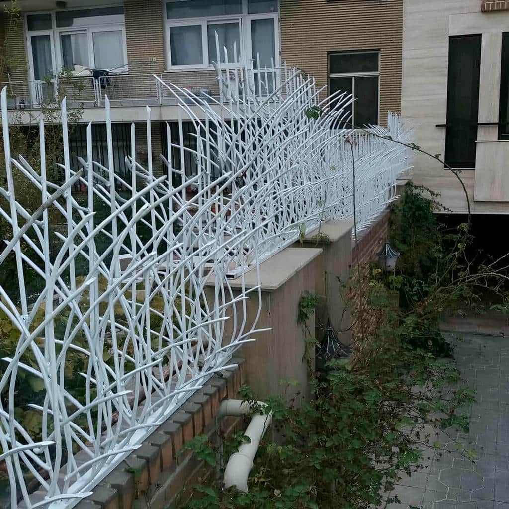 نصب حفاظ شاخ گوزنی رنگ مقاوم در گنبدکاووس