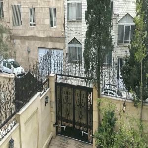 حفاظ شاخ گوزنی در اهواز