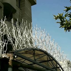 حفاظ شاخ گوزنی در خرم آباد