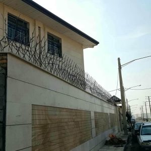 حفاظ شاخ گوزنی در پرند
