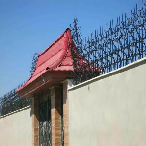 حفاظ شاخ گوزنی دیوار ساختمان در کرج