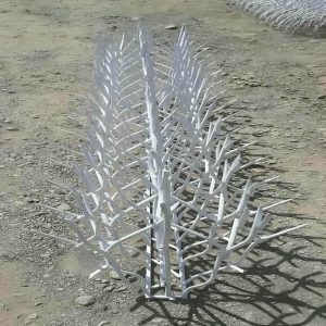 حفاظ شاخ گوزنی در نظرآباد