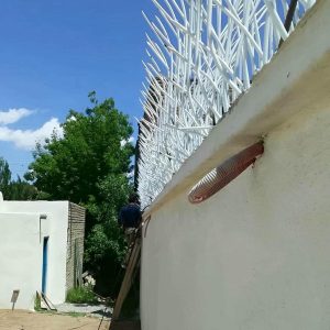 حفاظ شاخ گوزنی در مریوان