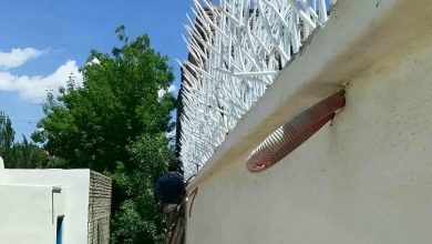 حفاظ شاخ گوزنی در مریوان