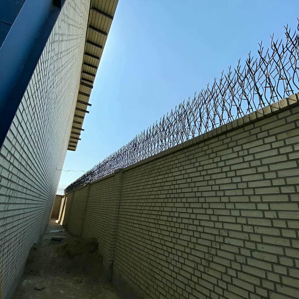 خرید حفاظ شاخ گوزنی تراکم بالا در پرند