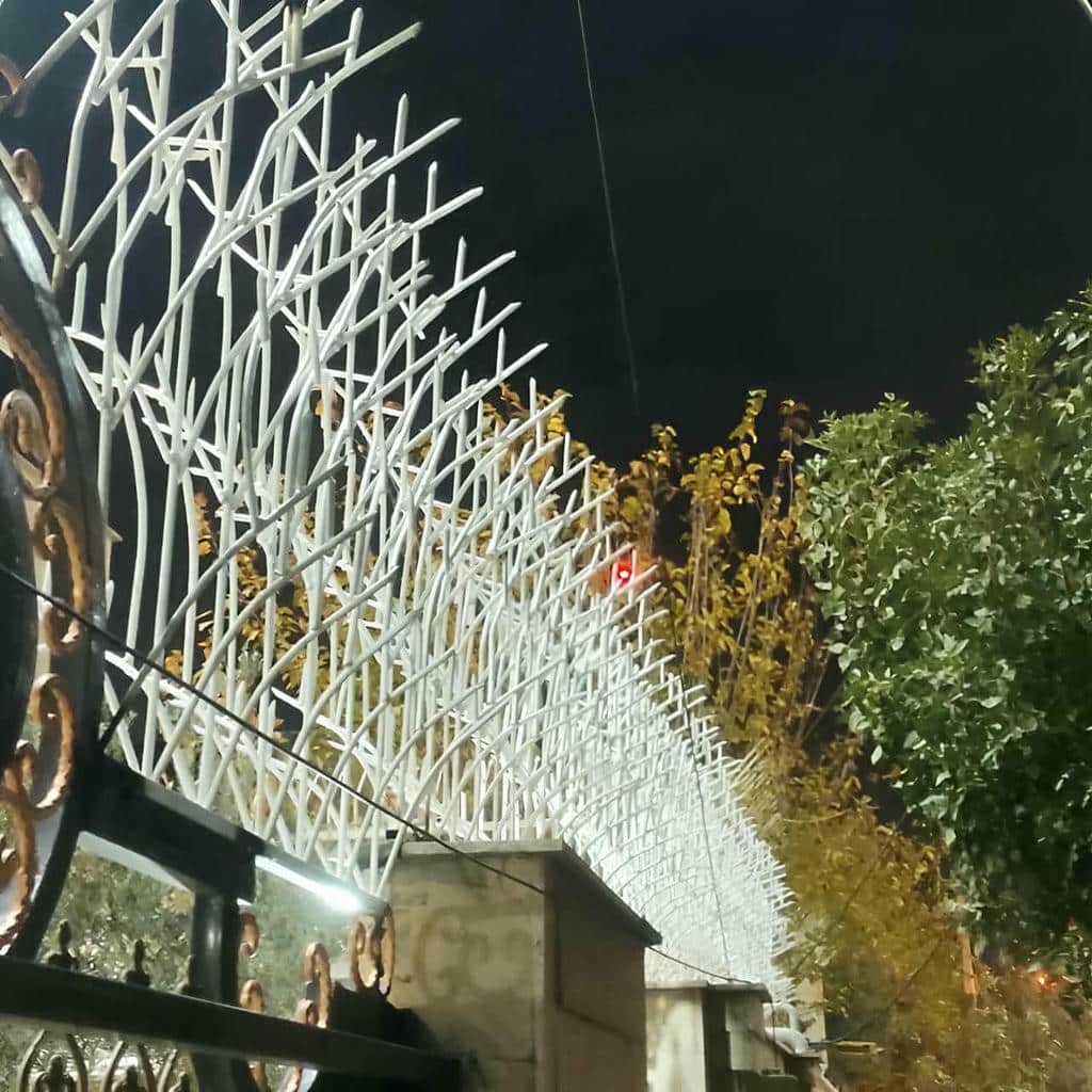 حفاظ شاخ گوزنی در گنبدکاووس