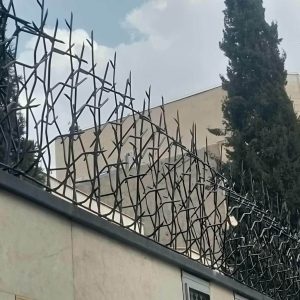 حفاظ شاخ گوزنی در ارومیه