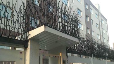 حفاظ شاخ گوزنی در چالوس
