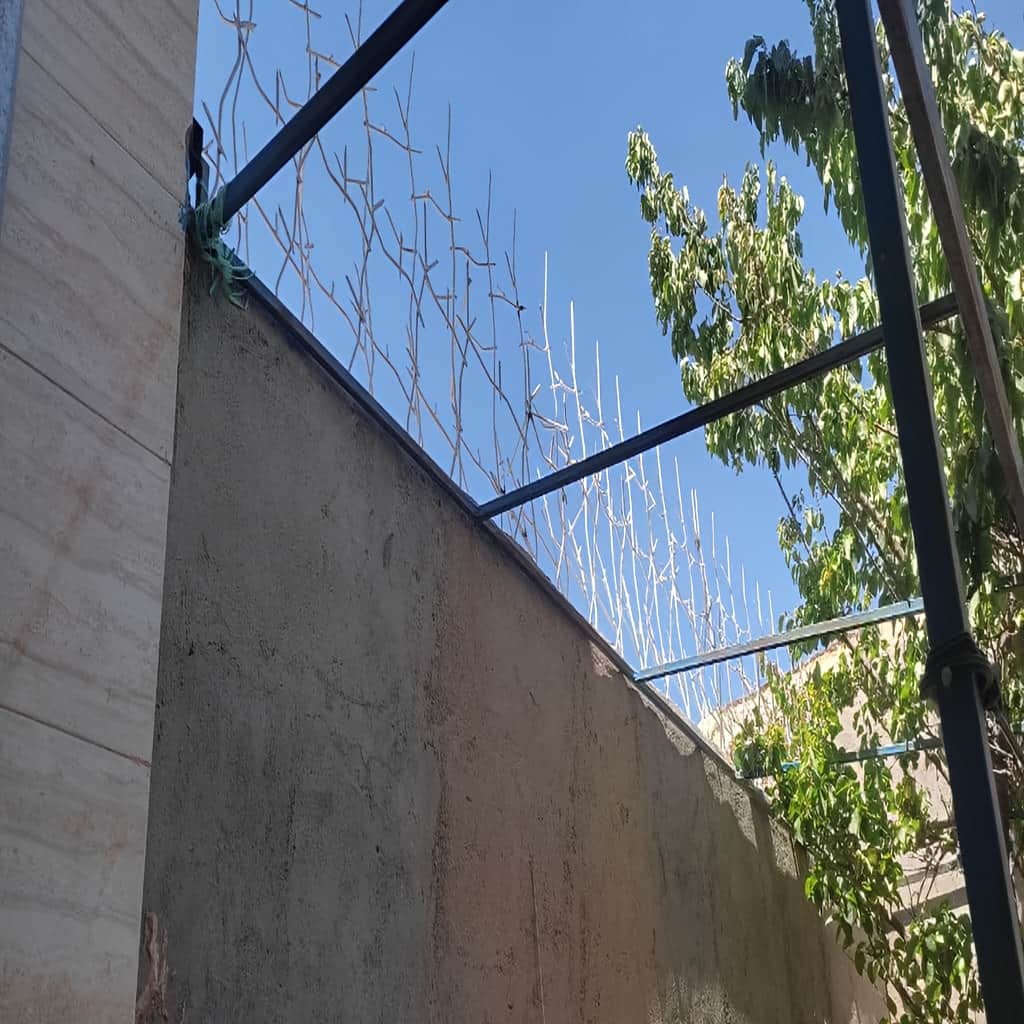 مقایسه حفاظ شاخ گوزنی با حفاظ سرنیزه ای برای انتخاب دقیق تر