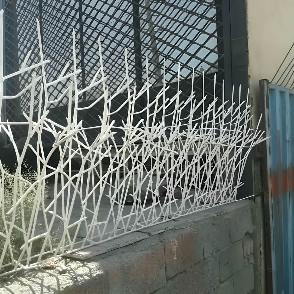 حفاظ شاخ گوزنی خار دار با پایه اتصال محکم