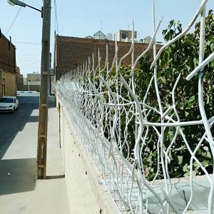 حفاظ شاخ گوزنی محبوب برای دیوار ساختمان و ویلا