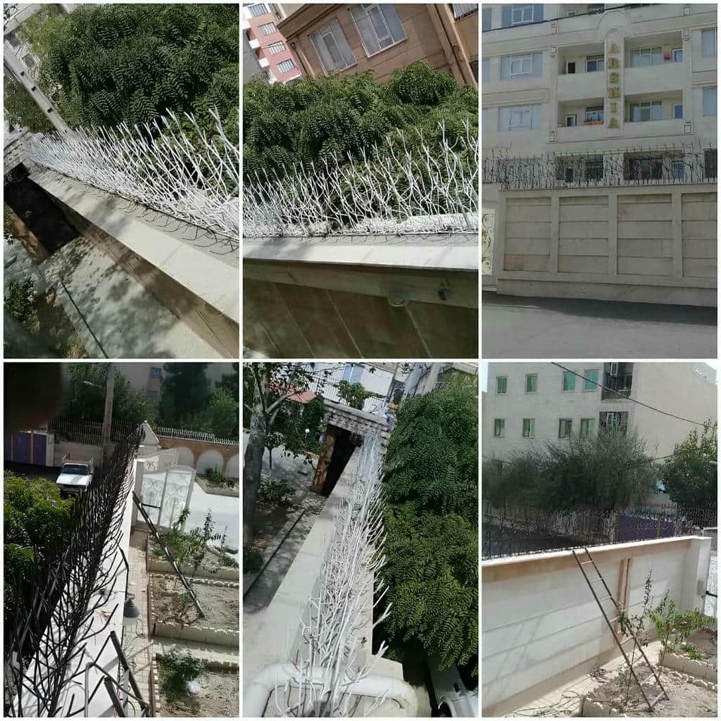 خرید حفاظ شاخ گوزنی تقویت‌شده مناسب دیوار بلند