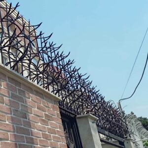 13 طرح حفاظ آبشاری روی دیوار سنگی